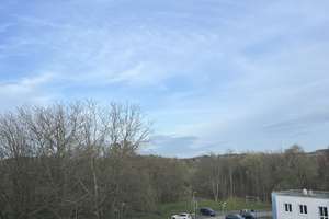 Helle 2-Zimmer Wohnung mit Balkon in Dortmund-Hörde – Clarenberg 38, 44263 Hörde (Ortsteil), Dortmund – Vorschaubild 14
