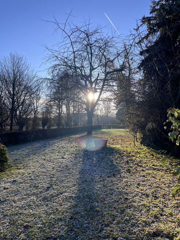 Immobilie in Königslutter am Elm - Sanierungsbedürftiges Haus mit großem Grundstück in Königslutter - Bild 3