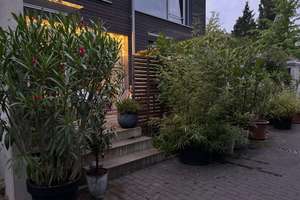 Property thumbnail 18