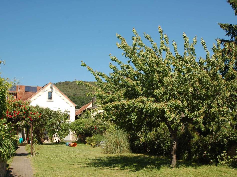 Gartenanlage