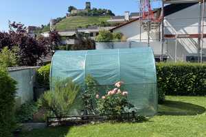 Schöne Doppelhaushälfte in Beilstein mit Garten und Burgblick – Heilbronn (Kreis) – Vorschaubild 6