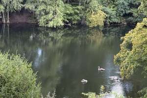 Property thumbnail 23