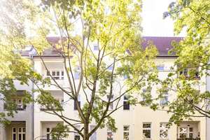 Helle Erdgeschoss-Perle | Bezugsfreie 1-Zimmer-Wohnung in ruhiger Reinickendorfer Kiezlage – Amendestraße 29, 13409 Reinickendorf (Ortsteil), Berlin – Vorschaubild 19