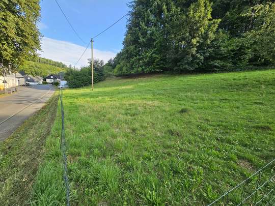 Großzügiges Baugrundstück in schöner Waldrandlage in Freudenberg-Niederheuslingen