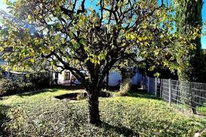 Property thumbnail 20