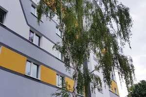 Familien wohnen hier gern! – Albert-Schweitzer-Str. 10, 39126 Magdeburg – Vorschaubild 4