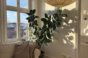 2-Bedroom Altbau in a very central and active neighbourhood
