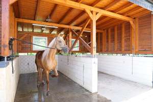 Moderne Reitanlage mit attraktivem Wohnhaus! – Die vollständige Adresse der Immobilie erhältst du vom Anbieter., 55271 Stadecken-Elsheim – Vorschaubild 21
