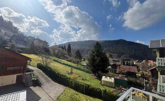 Gepflegte, renovierte Wohnung mit toller Aussicht