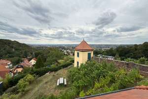 Mehr Radebeul..., Weinberg und Blick geht nicht...
