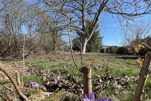 Property thumbnail 9