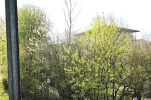 Charmante 2 Zimmer-Etagenwohnung mit Balkon – Epiphanienweg 43, 33739 Jöllenbeck, Bielefeld – Vorschaubild 6