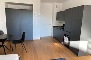 Luxuriöses, möbliertes Einzimmer-Apartment – Die vollständige Adresse der Immobilie erhältst du vom Anbieter., 81543 Siebenbrunn, München – Vorschaubild 6