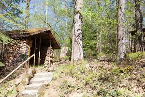 Das Haus im Wald - Idylle inmitten der Natur – Jägerleiten 12, 93464 Tiefenbach – Vorschaubild 15