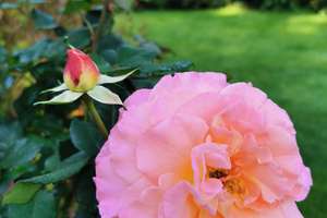 Property thumbnail 100