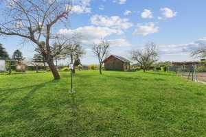 ++Ihr 1024m2 Traumidyll im Schönfelder Hochland: Wochenendgrundstück mit Holzhaus & West-Terrasse!++ – Dresden – Vorschaubild 6