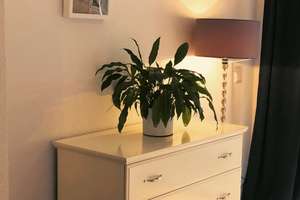 Barrierefreie 2 Zimmer Wohnung Appartement mit Terrasse in schöner Lage in Wuppertal Ronsdorf  – Die vollständige Adresse der Immobilie erhältst du vom Anbieter., 42369 Ronsdorf, Wuppertal – Vorschaubild 13