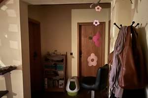 Einfamilienhaus in ruhiger Lage – Die vollständige Adresse der Immobilie erhältst du vom Anbieter., 29351 Eldingen – Vorschaubild 8