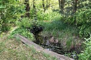 Wohnen in ruhiger Höhenlage von Mylau ! – Die vollständige Adresse der Immobilie erhältst du vom Anbieter., 8499 Mylau – Vorschaubild 10