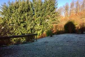 Geräumiges Mehrfamilienhaus mit exklusivem Panorama-Blick in Hirschhorn/Pfalz – Kaiserslautern (Kreis) – Vorschaubild 24