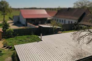 ++ ÖKO-BAUERNHOF im DRÖMLING ++ – Kämeritz 4, 39649 Jeseritz – Vorschaubild 32