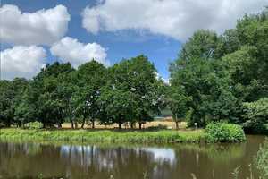 Generationswohnen mit Atelier, umgeben von Auewiesen ein Paradies  für Mensch u. Tier auf 30.000m²  – Nienburg (Weser) (Kreis) – Vorschaubild 8