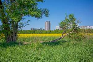 Property thumbnail 14