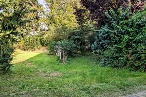 Familienfreundliches Wohnhaus mit ruhig gelegenem Grundstück – Schönfließer Strasse 45, 15326 Märkisch-Oderland (Kreis) – Vorschaubild 23