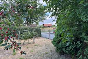 Reihenhaus mit parkähnlichem Garten und Carport in der Südstadt Braunschweigs – Sandgrubenweg 60, 38126 Südstadt-Rautheim-Mascherode, Braunschweig – Vorschaubild 7