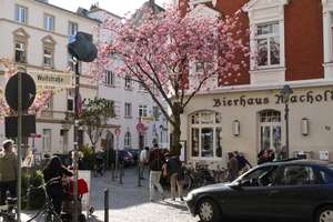 Nordstadt  Penthouse + Mansarde + Riesenterrasse Kirschblüte incl.