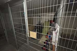 Property thumbnail 13