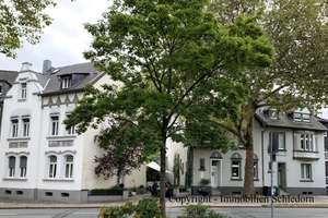 Immobilienpaket:  Jugendstilvilla mit 3 Wohneinheiten +  2 x Doppelhaushälften  in OB-Sterkrade