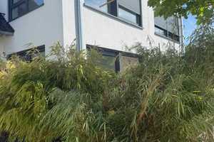 Moderne 4-Zimmer-Doppelhaushälfte in Hennef-Hüchel – Rhein-Sieg-Kreis – Vorschaubild 3