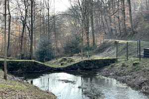 Einladendes Einfamilienhaus mit viel Charme, in naturnaher Ortsrandlage von Nassau an der Lahn – Rhein-Lahn-Kreis – Vorschaubild 34