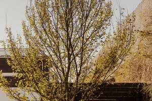 Property thumbnail 23