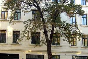 Property thumbnail 15