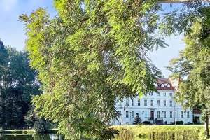 Absolute Rarität! Herrschaftliches Schloss-Anwesen in ländlich-idyllischer Lage von Mecklenburg! – Die vollständige Adresse der Immobilie erhältst du vom Anbieter., 19217 Wedendorfersee – Vorschaubild 16