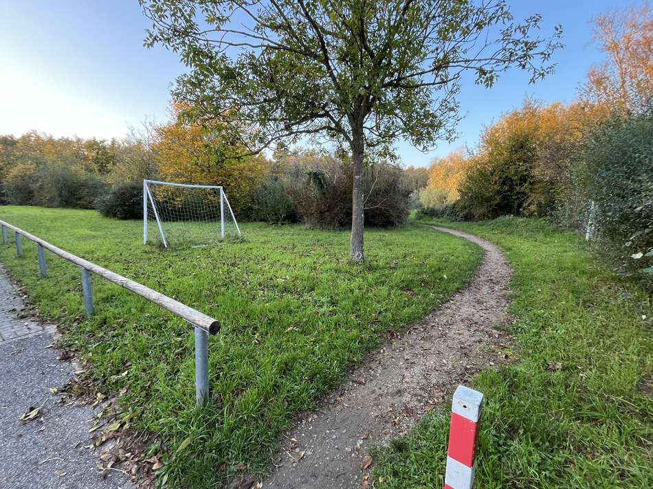 Wiese Reitschulschlagsee