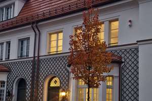 Property thumbnail 5