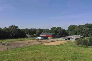 Sanierter Resthof mit 3,6 ha (36.238m²) in Mühlenbarbek zu verkaufen – Steinburg (Kreis) – Vorschaubild 4