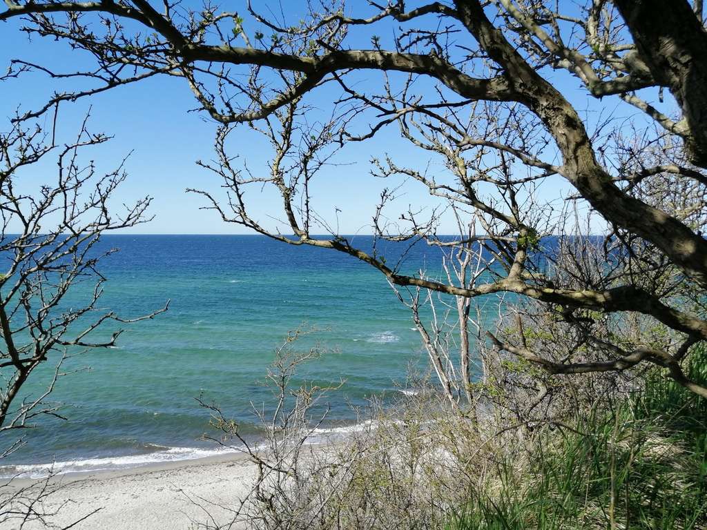 Immobilie in Bastorf - 2 Zimmer Bungalow mit Grundstück am Haff und Ostsee - Bild 0