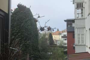 Einmalige Chance renovierte 2 Zimmer-Wohnung mit Loftfeeling in einem historischen Haus im Rodgebiet – Die vollständige Adresse der Immobilie erhältst du vom Anbieter., 75173 Südweststadt, Pforzheim – Vorschaubild 4