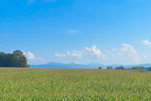 ***Weitblick in die Berge*** Doppelhaushälfte mit wunderschönen Garten und Sonnenterrasse – Miesbach (Kreis) – Vorschaubild 31