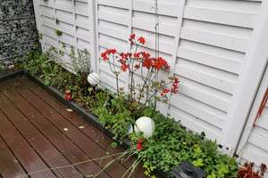 Property thumbnail 9