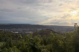 Charmante  4 Zi Whg. mit Galerie, schönem Garten und traumhaften Blick in Stuttgart Rotenberg – Württtemberg Straße 313, 70327 Rotenberg, Stuttgart – Vorschaubild 16
