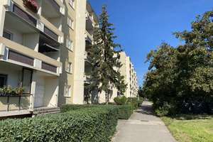 Schnapp dir den Deal, bevor’s ein anderer tut. /  Grab the deal before someone else does. – Alte Heerstraße 239, 6132 Silberhöhe, Halle (Saale) – Vorschaubild 2