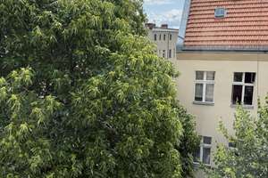 Provisionsfrei - helle, renovierte  und ruhige 2-Zi.-Wohnung  in Berlin-Reinickendorf zu verkaufen  – Letteallee 88, 13409 Reinickendorf (Ortsteil), Berlin – Vorschaubild 8