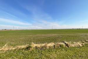 Nordfriesische Idylle: Reetdachkate mit Weitblick in Niebüll – Die vollständige Adresse der Immobilie erhältst du vom Anbieter., 25899 Niebüll – Vorschaubild 20