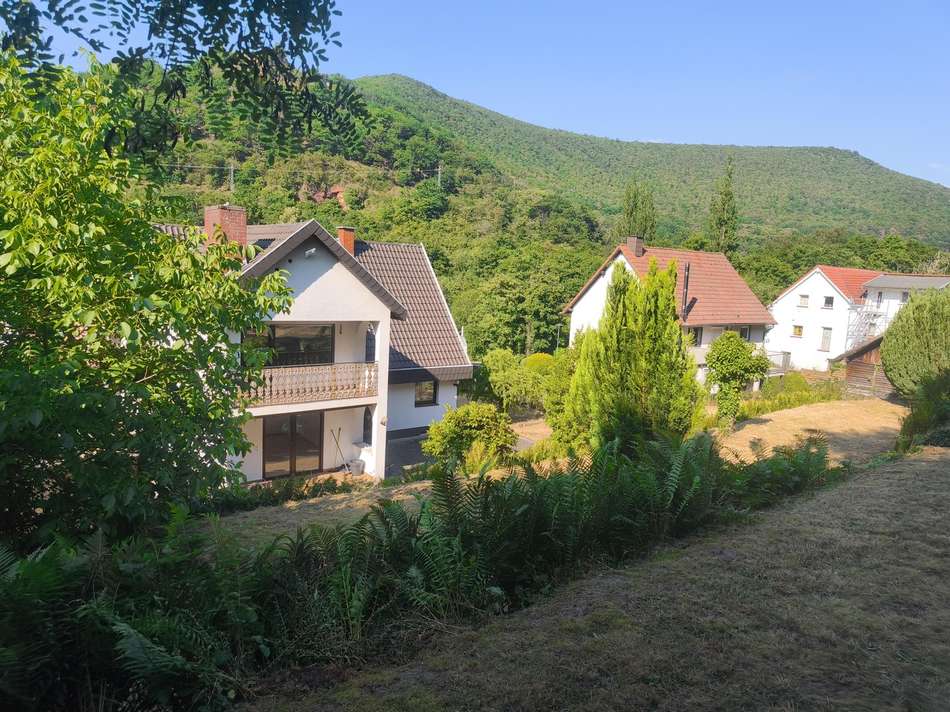 IMG 20250630 174241