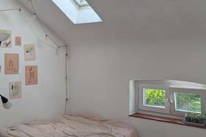 Helle 1-Zimmer-Wohnung mit Wohnküche in Bonn Poppelsdorf – Jagdweg 30, 53115 Poppelsdorf, Bonn – Vorschaubild 8